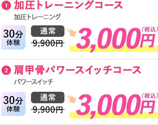 お試し価格