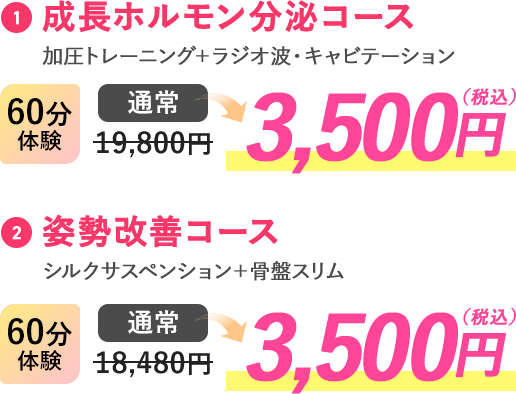 お試し価格